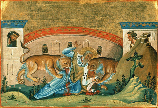 An illustration of Ignatius of Antioch being eaten by the lions