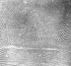 Fingerprint