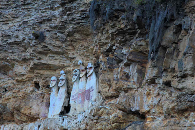 Karajia sarcophaguses  Photo credit