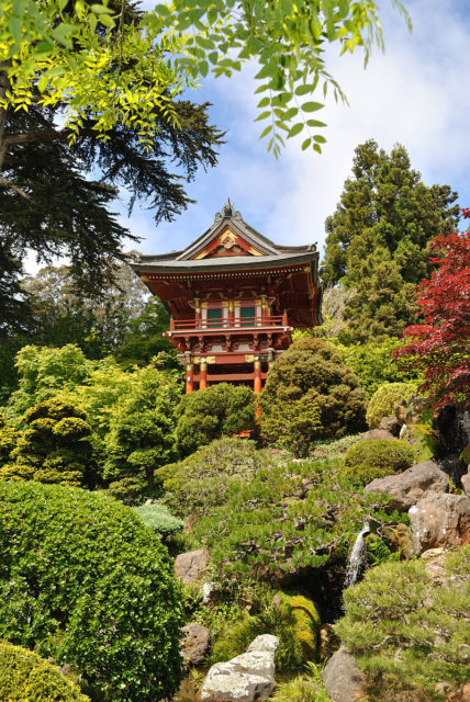 Japanese Tea Garden in San Francisco, CA  Photo Credit