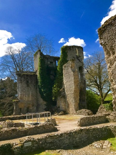 During the Civil War, the palace was besieged and destroyed by Parliamentarian commander, Major-General Sir Thomas Browne, and his troops