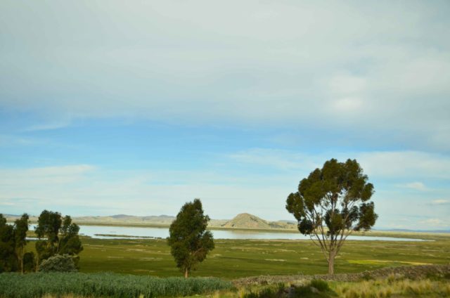 Lake Titicaca, Chucuito