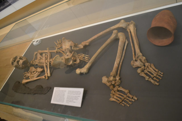 The items that were found with him were typical for the early Becker burials