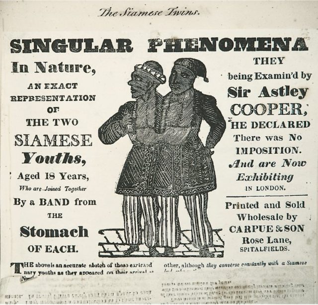 One of the many posters of Chang and Eng Bunker, known at the time as the ’Siamese-twins.’