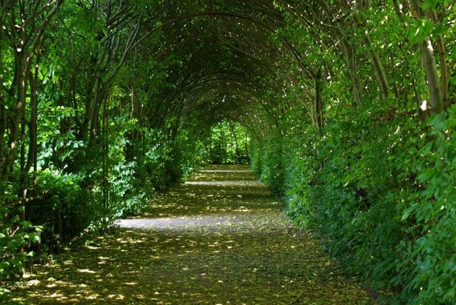 Pergola at the palatial gardens of Güstrow. Photo Credit