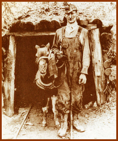 Virginia miner with a working Shetland pony coming out of a mine, 1930. Photo Credit