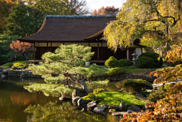 The Japanese garden in Fairmount Park West, Philadelphia Photo Credit