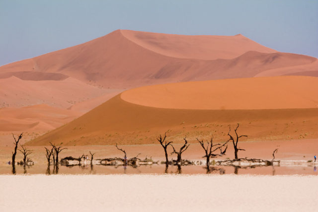 The Deadvlei. Author:   Greg Willis  CC BY-SA 2.0