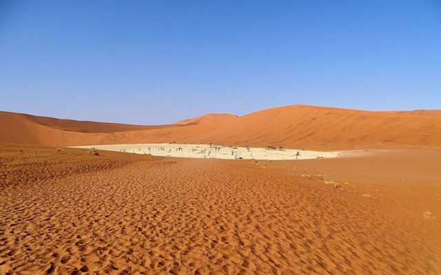 Deadvlei as seen early in the morning before most visitors start arriving. The many footprints in the sand tell us that this place is much visited. Author: Bjørn Christian Tørrissen  CC BY-SA 4.0