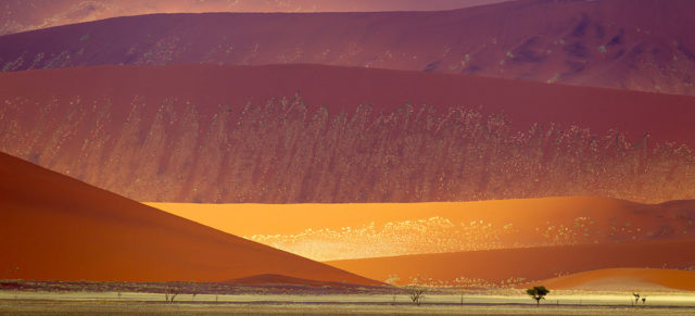 Rich sand dunes near Sossusvlei within the Namib-Naukluft National Park, Namibia. The older dunes are reddish and larger, while the newer ones are yellow-brown Author: Yathin S Krishnappa  CC BY-SA 3.0