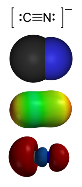 The cyanide ion, CN−. From the top: 1. Valence-bond structure 2. Space-filling model 3. Electrostatic potential surface 4. “Carbon lone pair”