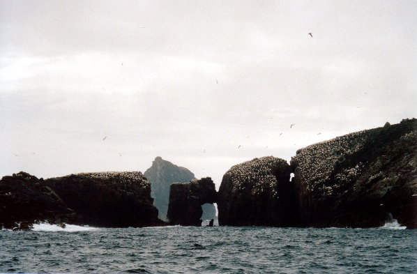 The westernmost of the Flannan Isles: Eilean a’ Ghobha and Roareim with Brona Cleit in the distance. Photo Marc Calhoun CC BY-SA 2.0.