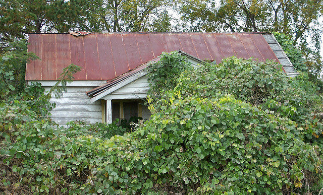 Yazoo County, Mississippi Photo Credit