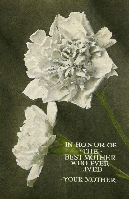 Postcard issued by the Northern Pacific Railway for Mother’s Day 1915.
