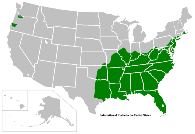 Infestation of Kudzu in the United States