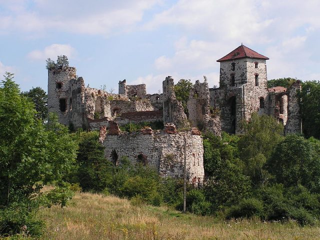 Teczyn castle. Photo by Artur Szeja CC BY 2.5 PL