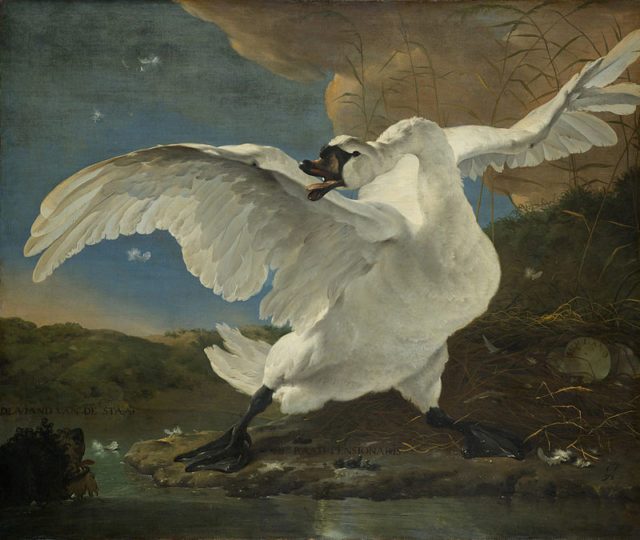 The Threatened Swan, c. 1650. A swan protects her nest against a threatening dog. The scene was later turned into a political allegory by referring to the swan as Grand Pensionary Johan de Witt, protecting Holland against the Enemy.