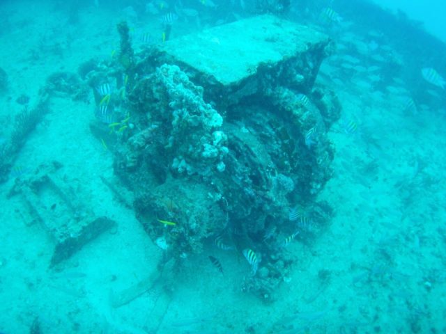 Neptune memorial. Photo Credit