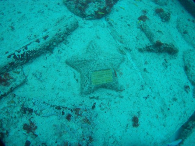 Starfish from cement with plaque. Photo Credit