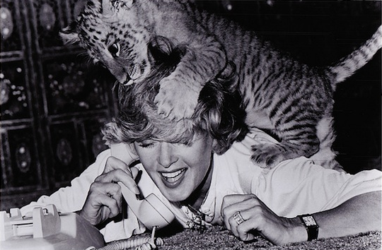 Hedren with a lion cub in “Roar” (1981)