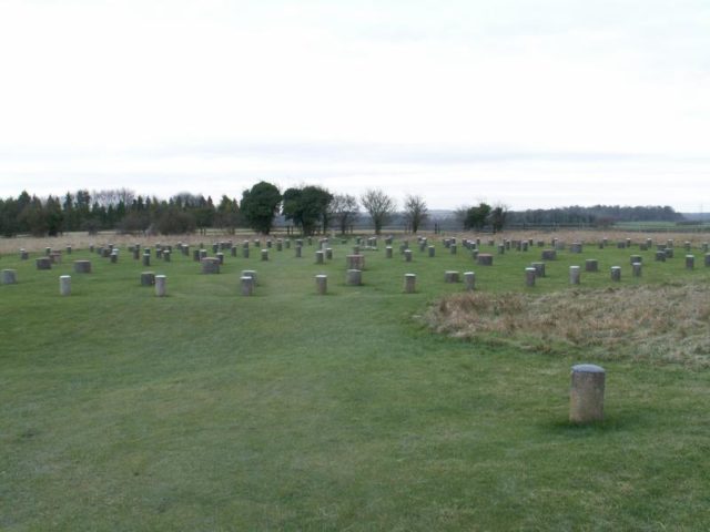 Woodhenge. Photo Credit