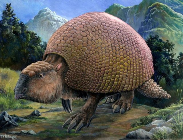 glyptodon