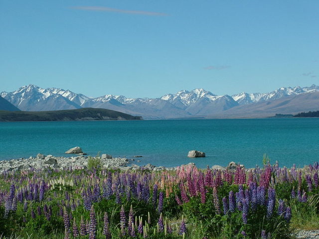 Lake Tekapo Photo Credit