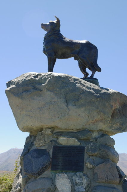 Shepherd dog monument, Lake Tekapo Photo Credit