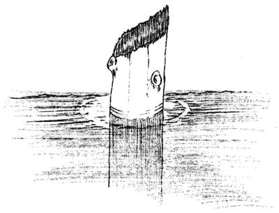 A sketch of the “Old Man of the Lake” published in 1938