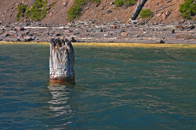 “Old Man of the Lake,” Crater Lake National Park. By Markgorzynski – CC BY-SA 3.0