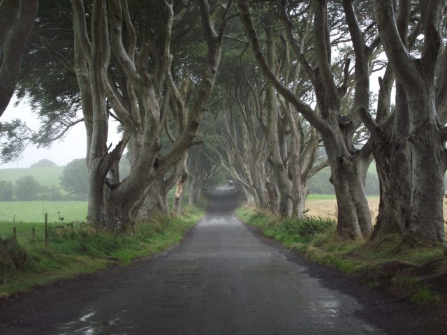 The Dark Hedges, North of Belfast – Filming location for the Kingsroad in Season 2, Episode 1: “The North Remembers,” where Arya, Gendry, and Hot Pie started their journey.