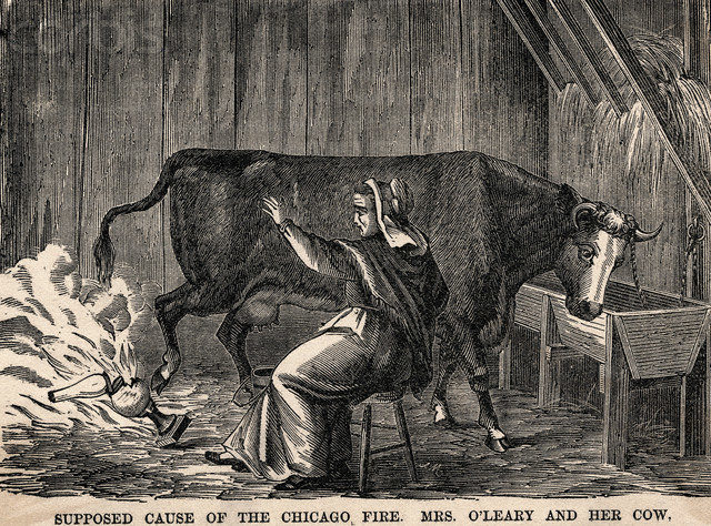 1871 illustration from Harper’s Magazine depicting Mrs. O’Leary milking the cow