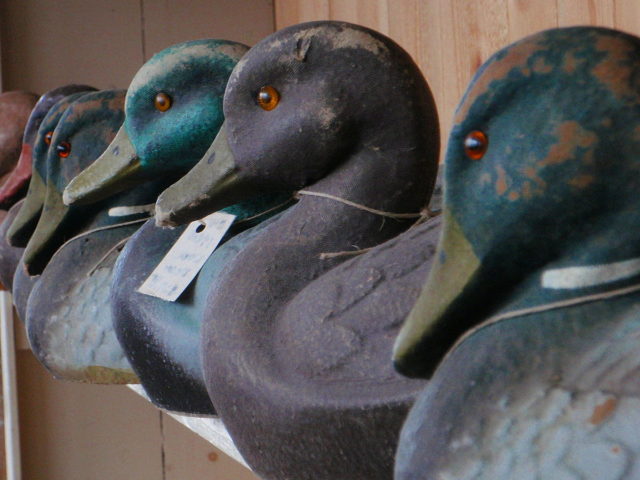Wooden duck decoys. Photo Credit