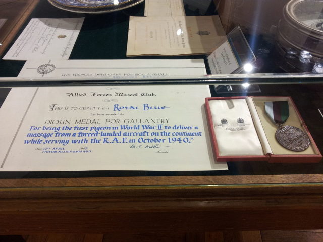 The Dickin Medal and official Certificate. This specific medal was for the war pigeon “Royal Blue” for serving in WWII. Author:Joseph Krol.  CC BY-SA 3.0