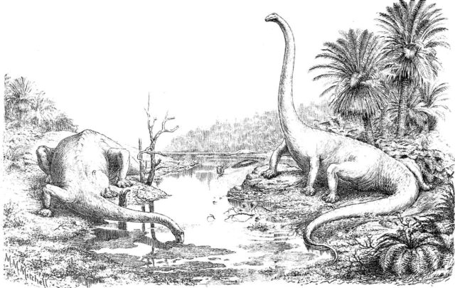 An outmoded depiction of Diplodocus as depicted by Hay in 1910