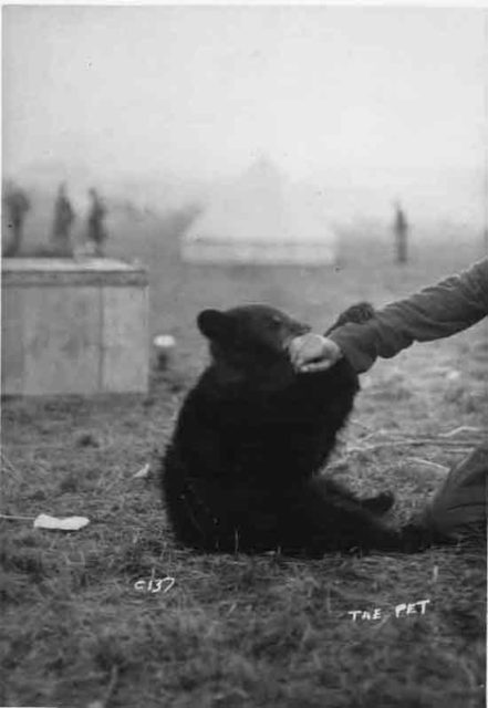 Christopher Robin Milne named his favorite bear after Winnie