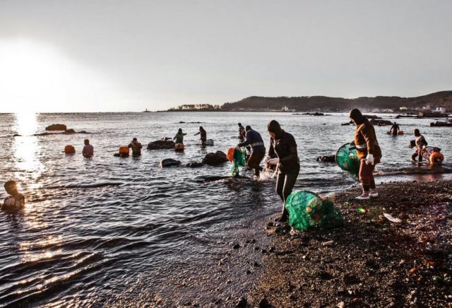 Sea Women. Photo by Mijoo Kim