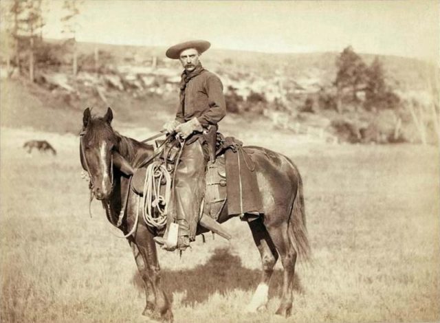 A cowboy, c. 1887, wearing shotgun style chaps.