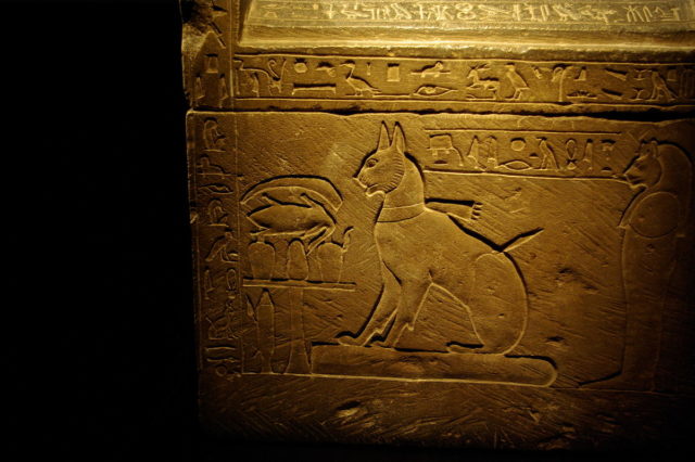 Cats thrived in Egypt. Photo showing the sarcophagus of the cat of the Crown Prince Thutmose, the eldest son of Amenhotep III and Queen Tiye. Author: Larazoni, CC BY 2.0