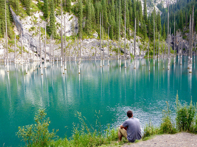 A visitor gazes at the spectacular Lake Kaindy, Photo by Kalpak Travel, CC BY 2.0