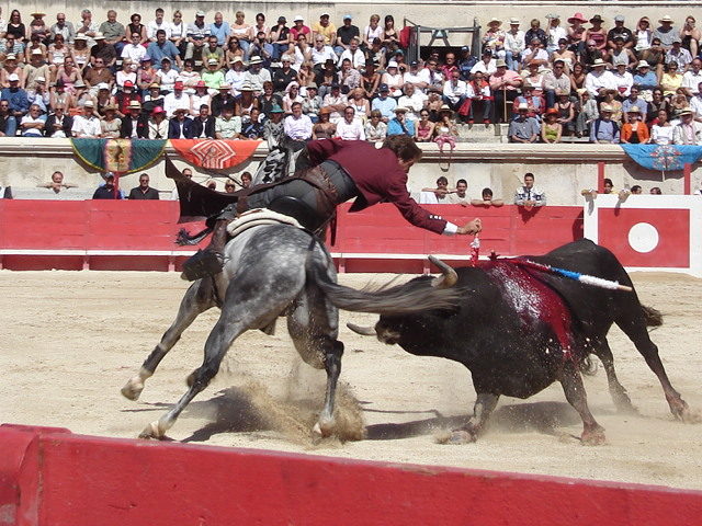 Rejoneador wearing chaps. Author:YannTech CC BY-SA 3.0