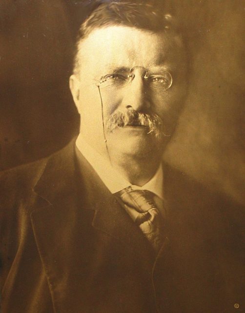 Orotone print of U.S. President Theodore Roosevelt, 1904, by Edward S. Curtis