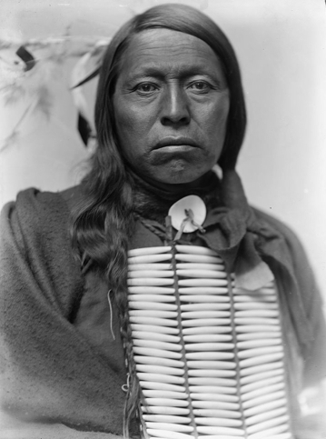 Chief Flying Hawk, Gertrude Kasebier, 1898, U.S. Library of Congress.
