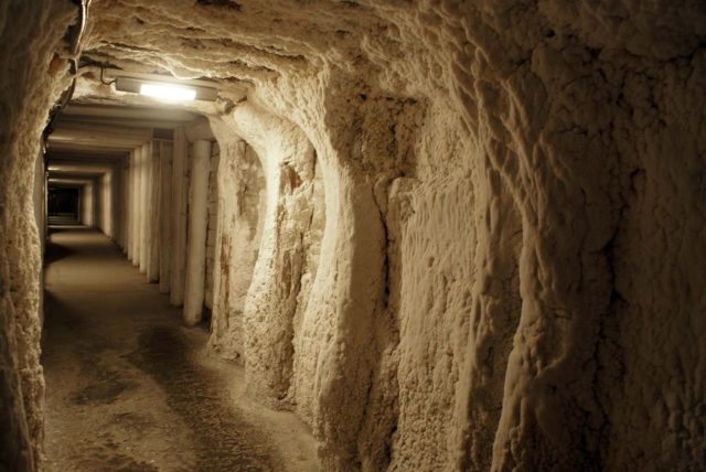 It has 178 miles of tunnels. Author: Barbara Maliszewska. CC BY-SA 3.0.