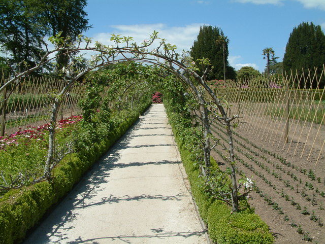 Arches of apple trees Author:Robin Lucas CC BY-SA 2.0