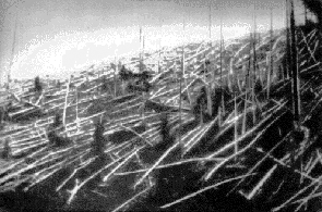 Trees knocked over by the Tunguska blast. Photograph from the Soviet Academy of Science 1927 expedition led by Leonid Kulik.