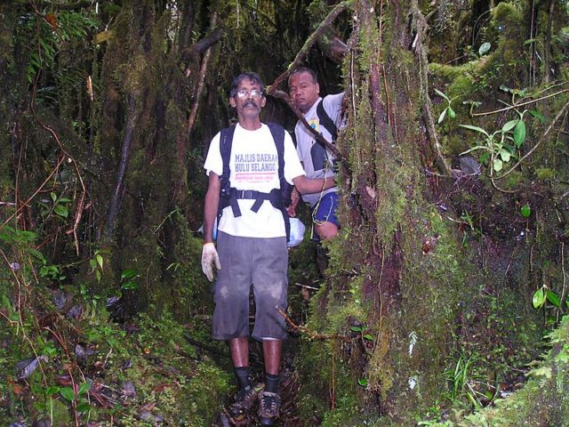 A Senoi man (in the background) serving a hiker (foreground) as a guide at Mount Korbu, Perak, Malaysia. Author: Ksmuthukrishnan CC BY-SA 4.0