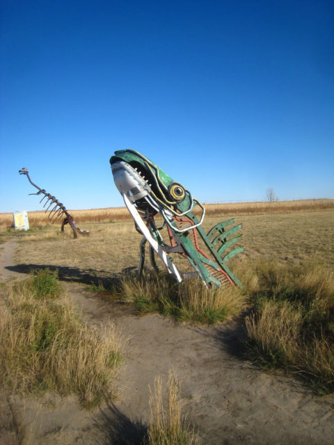 The spawning salmon near Carhenge in Nebraska. Author Chris M Morris, CC BY 2.0