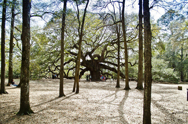 It is striking in terms of its structure a well as its extreme age. Photo by Dan J, CC BY 2.0 / Flickr.