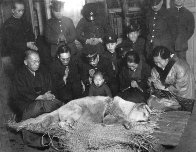 Praying for recently deceased “Chuken Hachikō” (Hachikō, the faithful dog) in Tokyo’s Shibuya Station baggage room on March 8, 1935. His owner’s widow, Yaeko Ueno, is in the front row, second from the right. The photo was published the next day in the Yamato Shimbun.